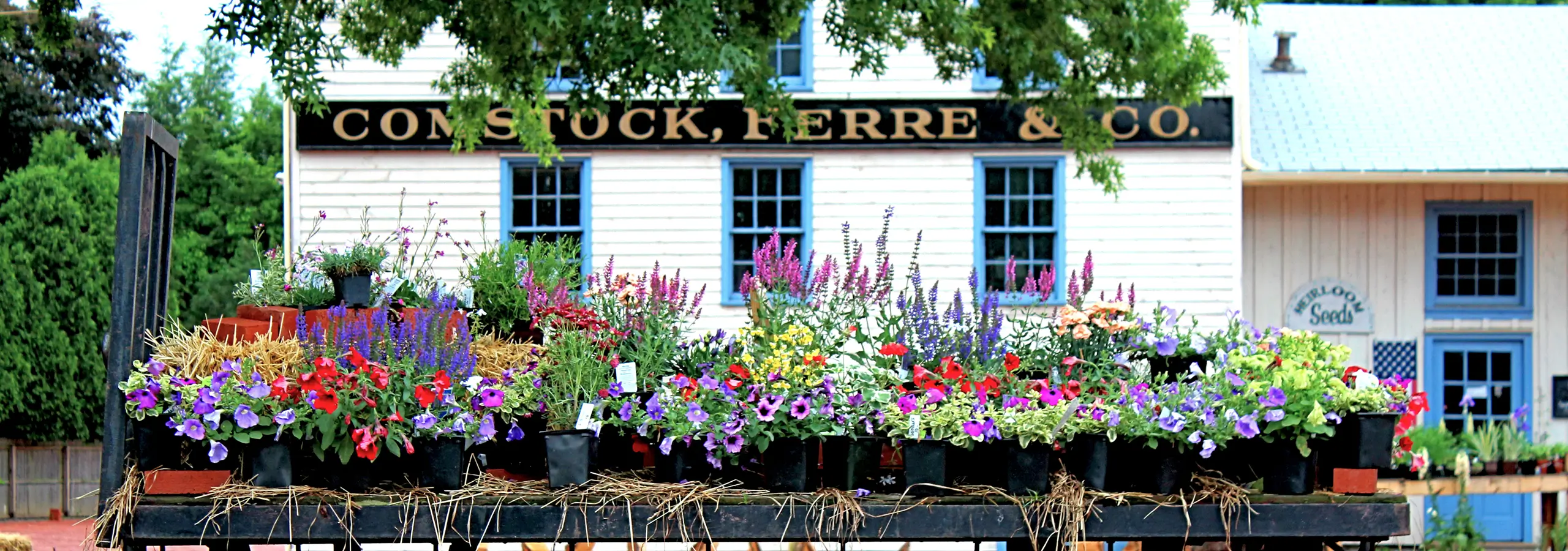 Photo of Comstock Ferre, Wethersfield, CT