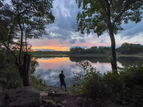 Image of man fishing at the Cove in Wethersfield, CT