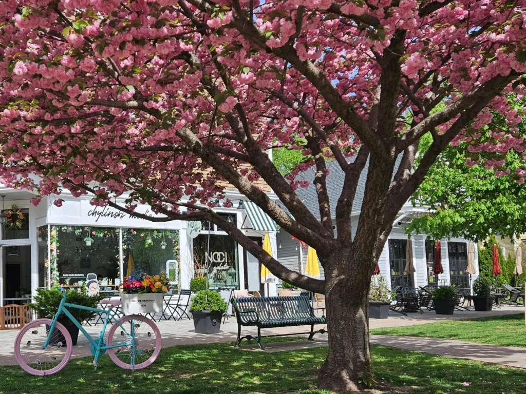 Image of shops on Main St, Wethersfield, CT