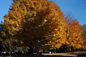 Image of Broad Street Green, Wethersfield, CT