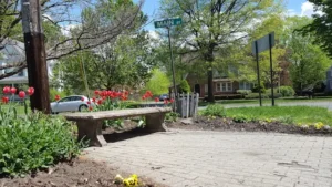 Image of a Walk Down Main Street, Wethersfield, CT