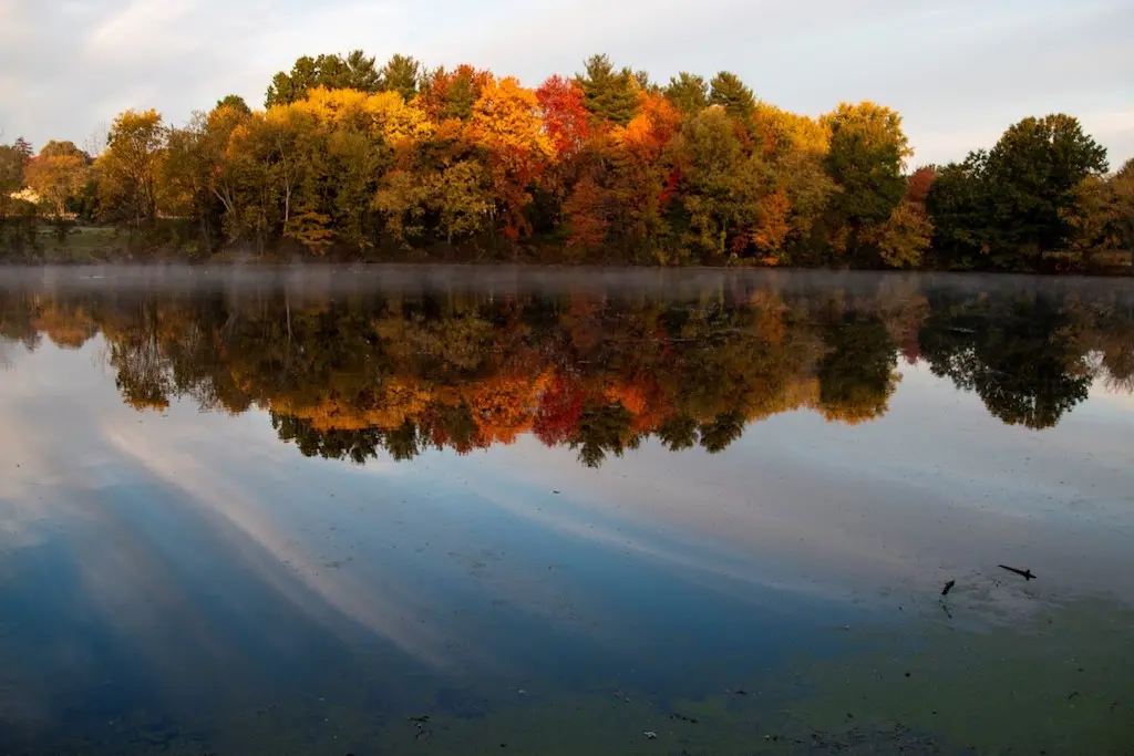 Image of Cove, Wethersfield, CT