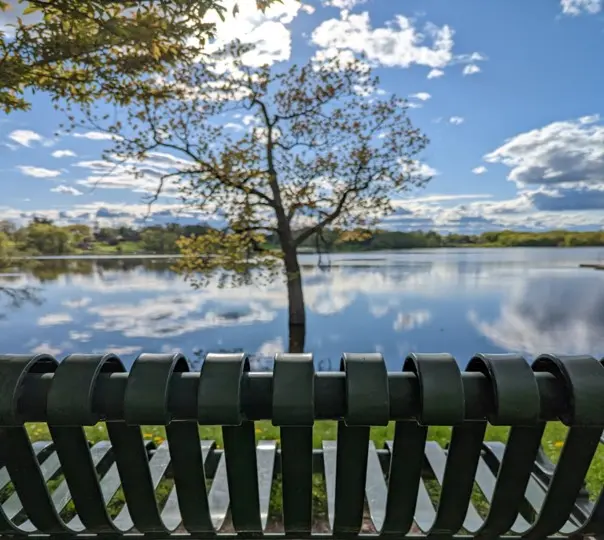 Image of Wethersfield Cove bench, Wethersfield, CT