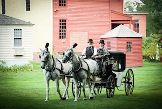 Image of Horse & Carriage, Wethersfield, CT